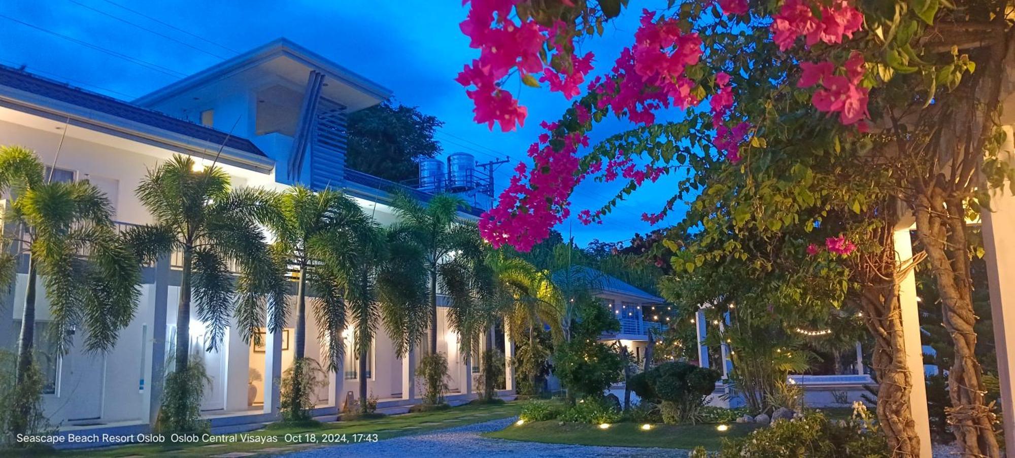 Seascape Beach Resort Oslob Εξωτερικό φωτογραφία