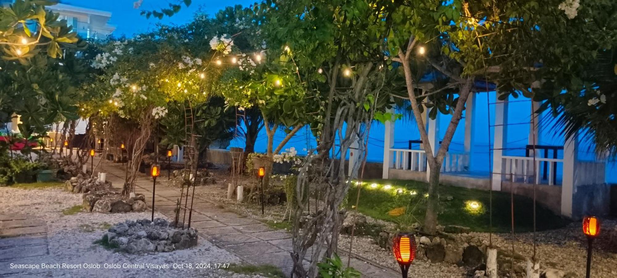 Seascape Beach Resort Oslob Εξωτερικό φωτογραφία