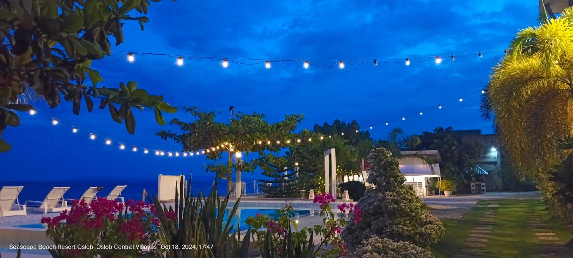 Seascape Beach Resort Oslob Εξωτερικό φωτογραφία