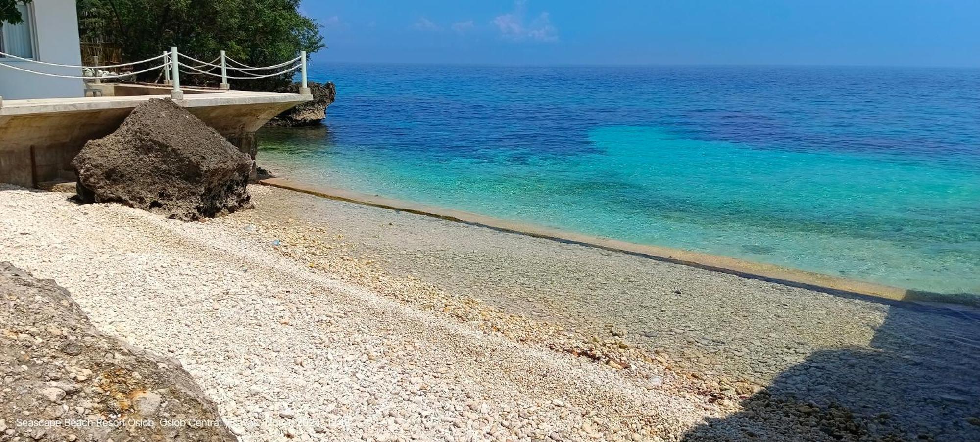 Seascape Beach Resort Oslob Εξωτερικό φωτογραφία